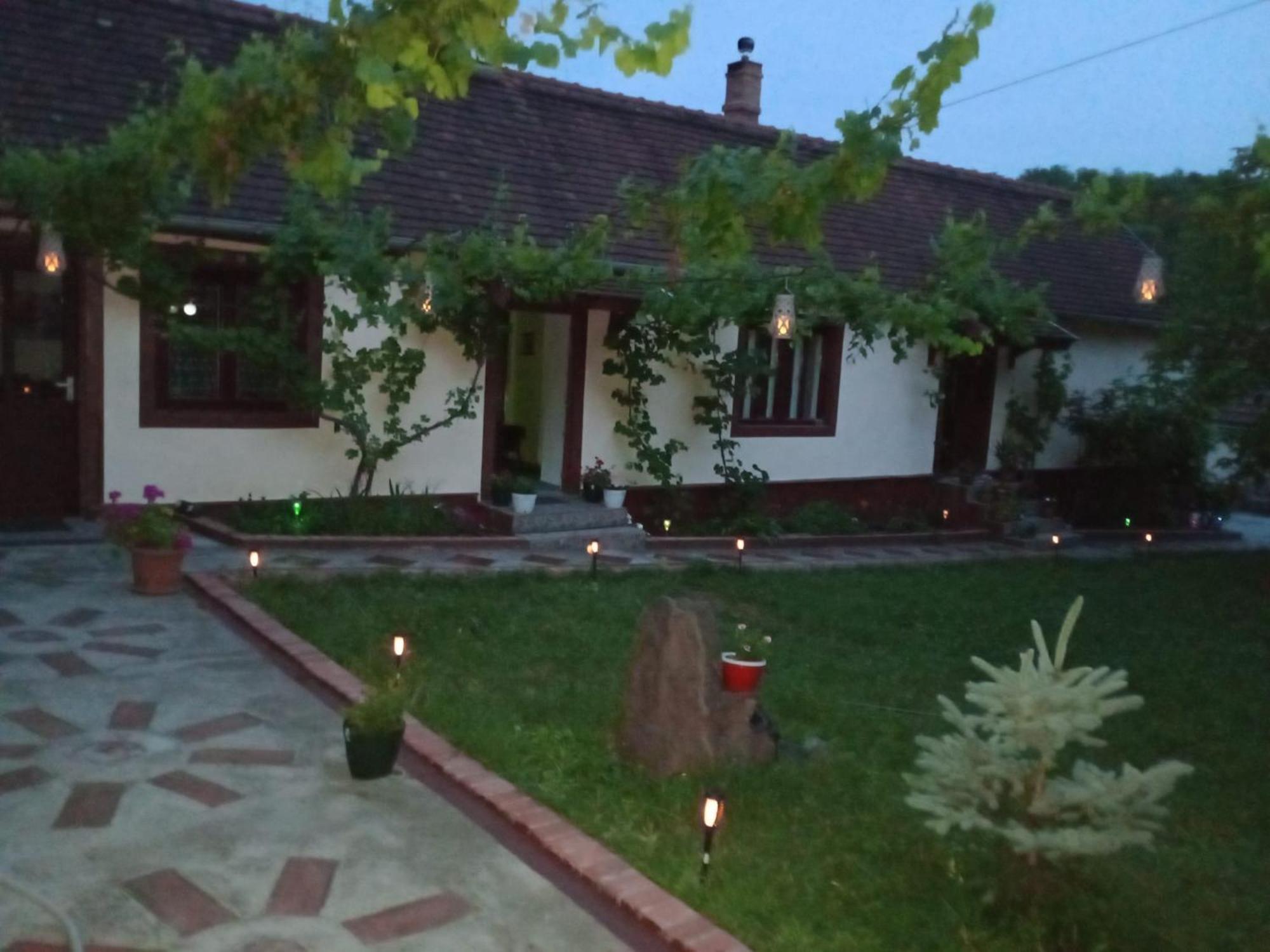 Casa Dragoi Din Socolari, Caras - Severin Exterior photo